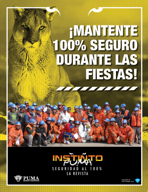 Revista Instinto Puma Nº56